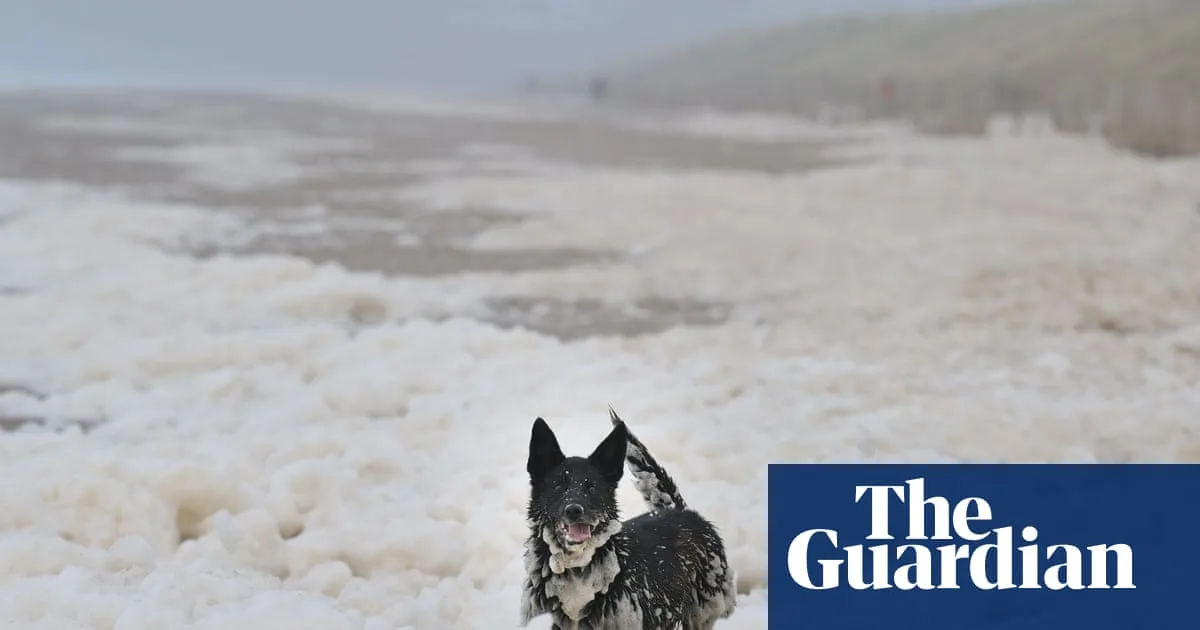 Sea Foam: Natural Phenomenon, Not Pollution, on UK Coasts