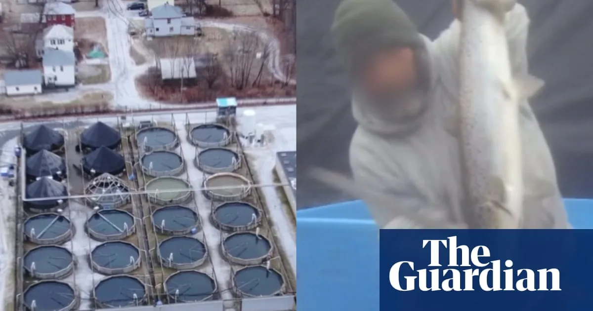Seafood Giant Faces Abuse Claims in Fish Farming