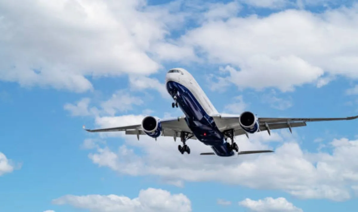 TikTok Video Reignites Debate Over Child-Free Flights After 29-Hour Journey