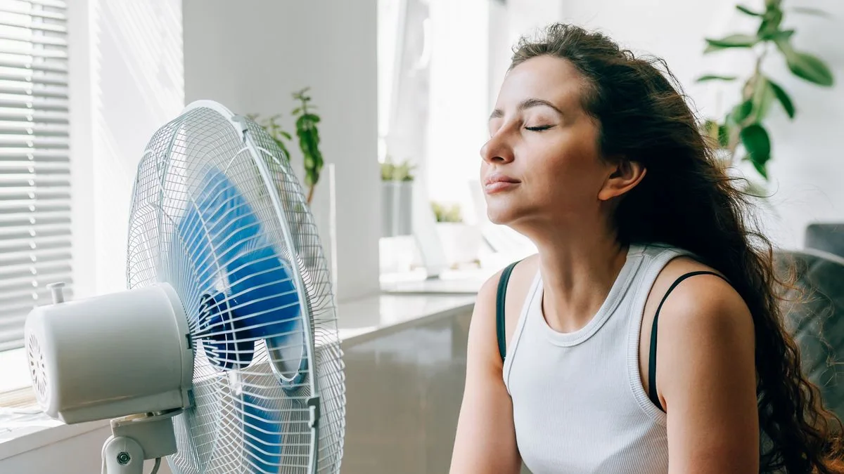Seven Experts Say Keep Fan On Overnight In Heatwave