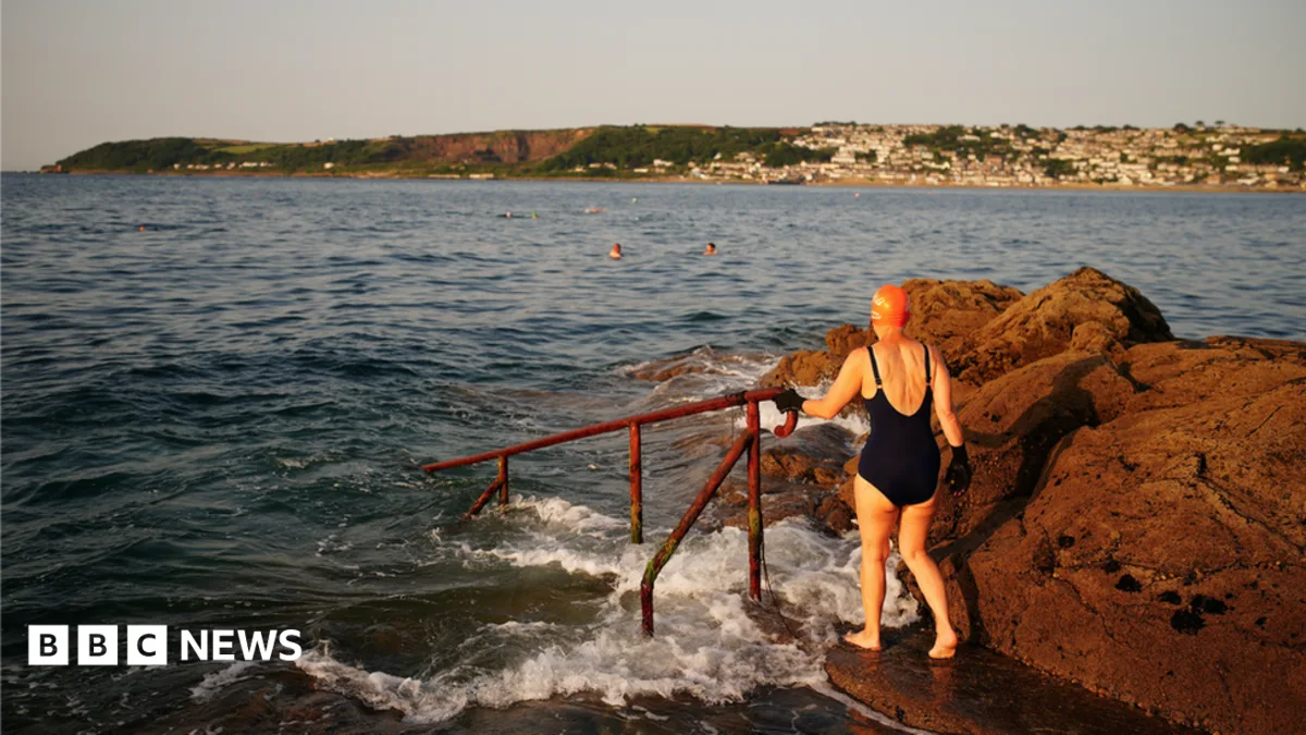 Expert Urges Swimmers Not to Fear Sea After Suspected Shark Attack in Cornwall