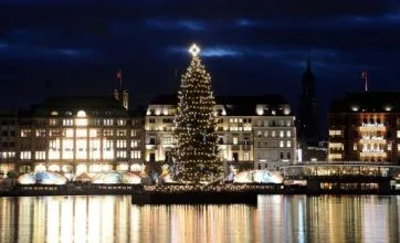 Sheffield University's Treegonometry Solves Festive Decor Dilemma