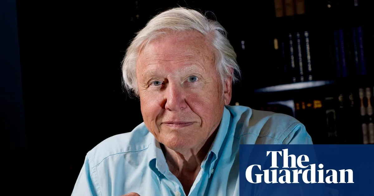 ‘A true pinch-me moment’: memories of David Attenborough as he turns 100