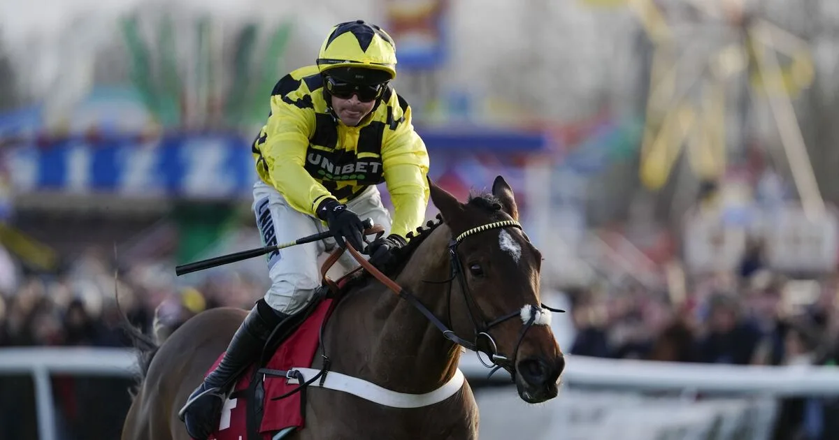 Sir Gino Dies After Infection, Trainer Nicky Henderson Announces