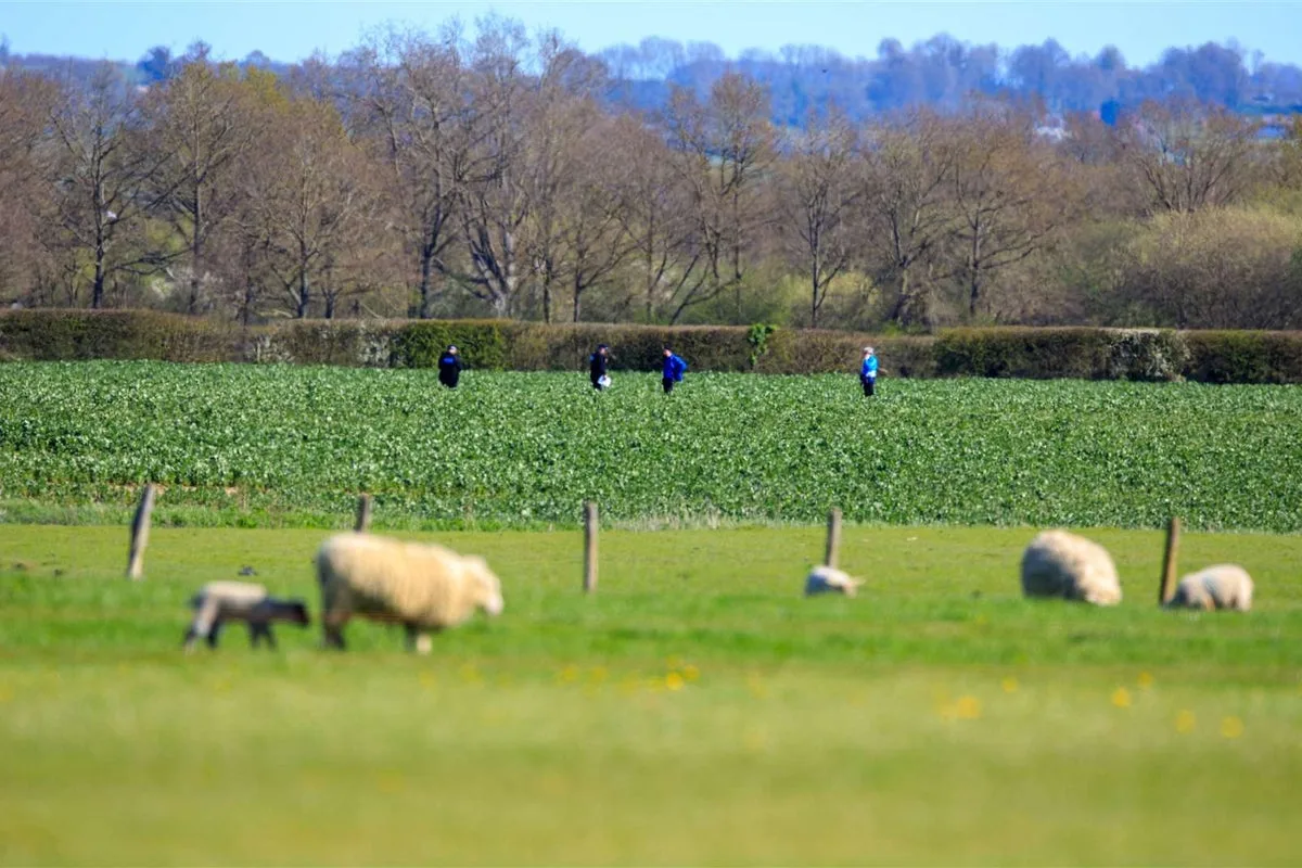 Skydiver Dies In Easter Monday Parachute Failure At Kent Aerodrome