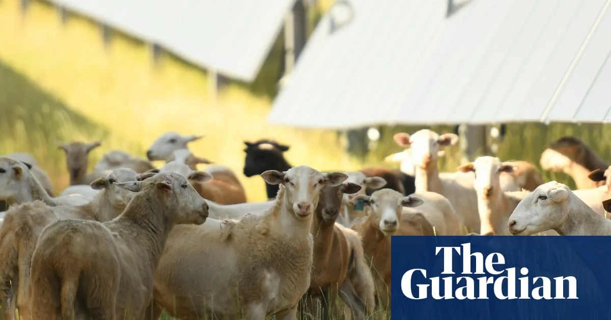 Solar Helps Farms Survive But GOP Bill Could Curb Access