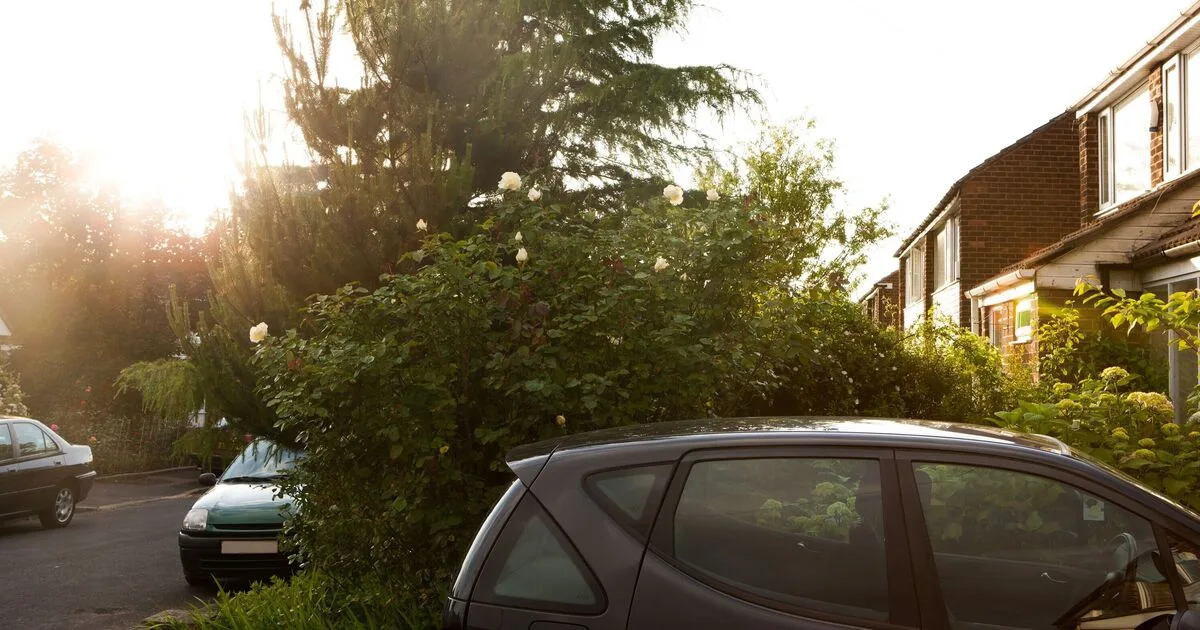 Sprinkler Soaks Car Daily, Neighbour Refuses to Adjust It