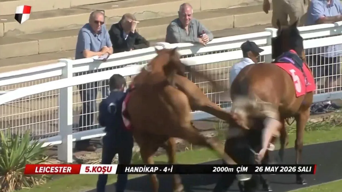 Stable Groom Hospitalised After Horse Kick at Redcar