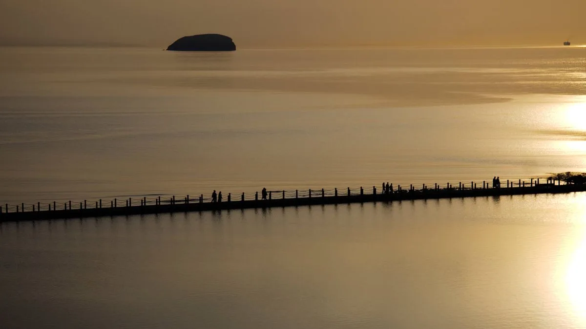 Steep Holm: The Bristol Channel’s Hidden Gem of History and Wildlife