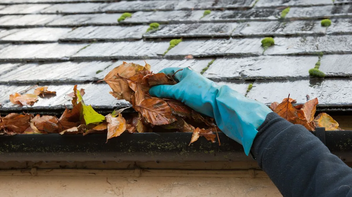 Expert's £5 hack to stop autumn leaves clogging your drains