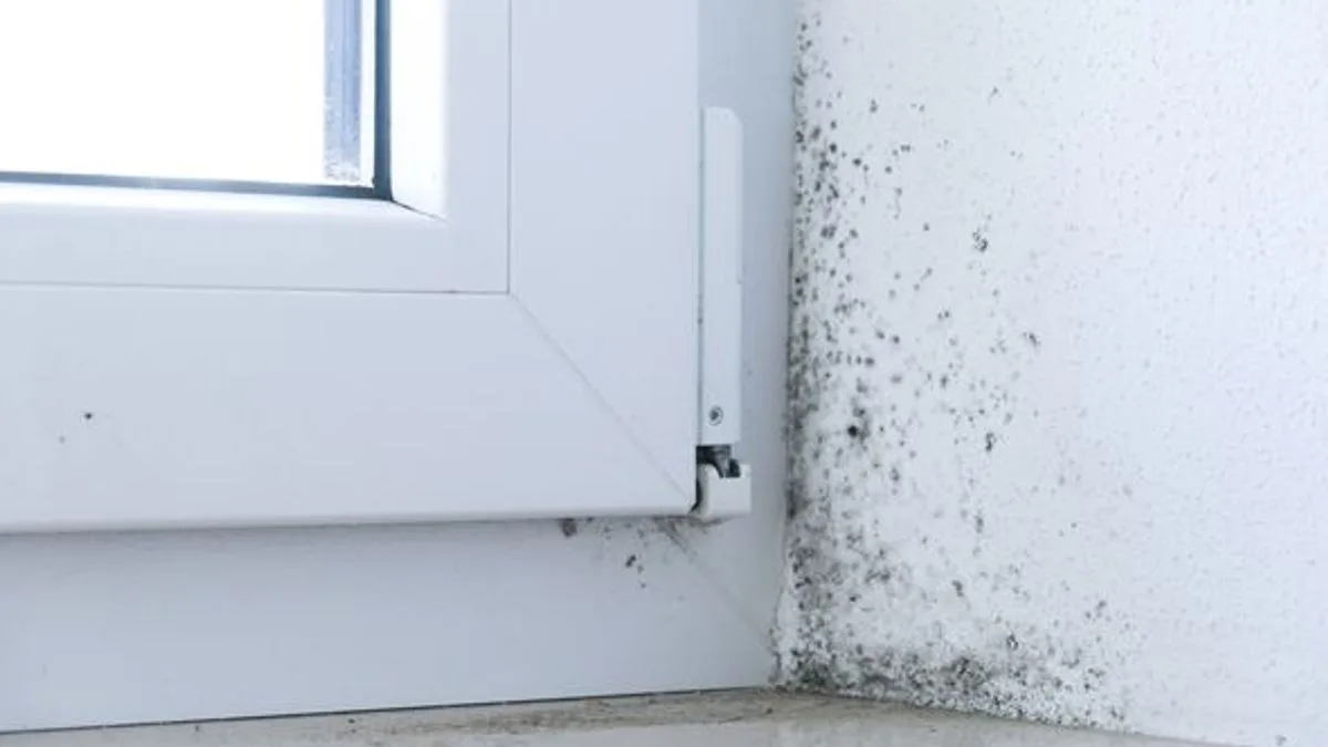 Expert's Free Hack to Stop Condensation and Mould This Winter