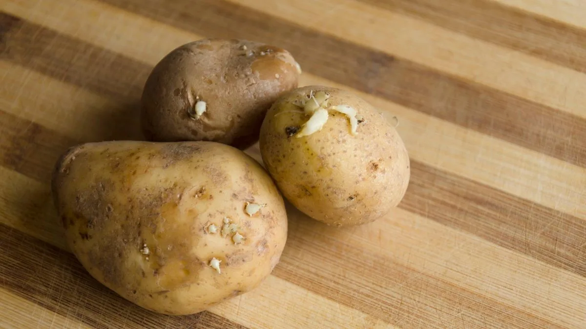 Apple Trick Prevents Potatoes from Sprouting, Say TikTok Users