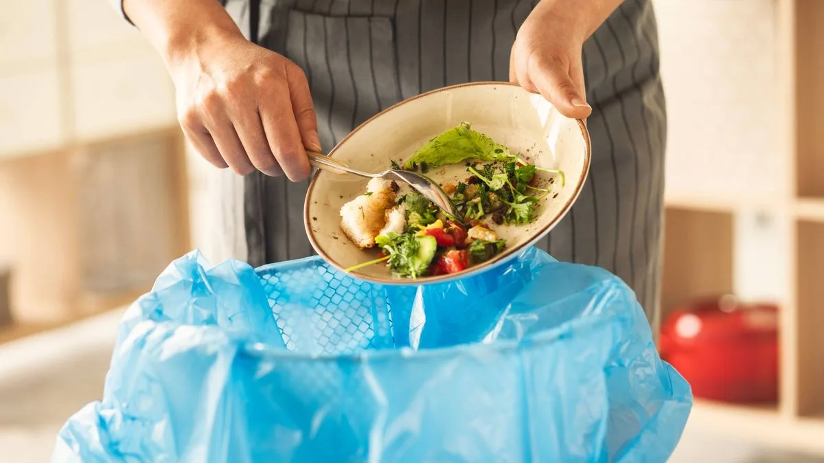 Stop Two Food Bin Mistakes To Avoid Maggots And Smells