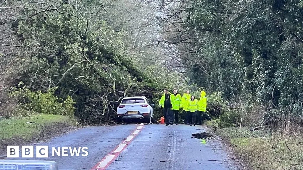 Man Dies After Tree Crushes Car During Storm Henk