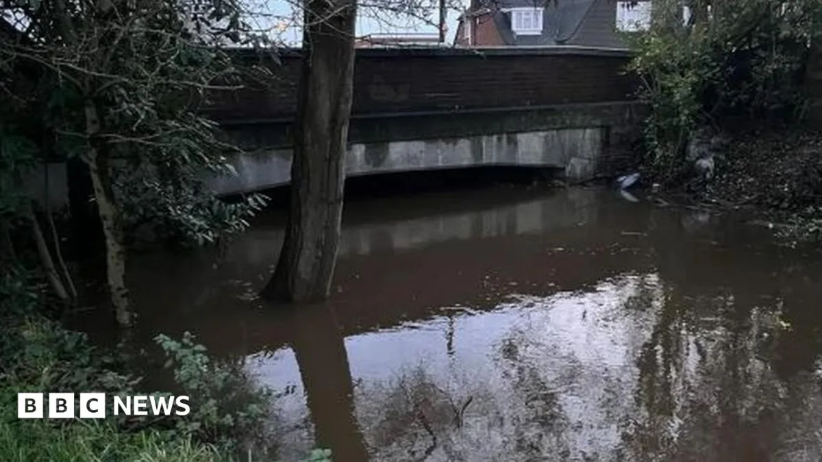 Storm Henk Causes River Bourne to Burst Banks in Surrey