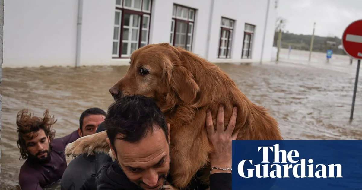 Storm Leonardo Causes Deaths and Flooding in Portugal and Spain, Presidential Election Goes Ahead