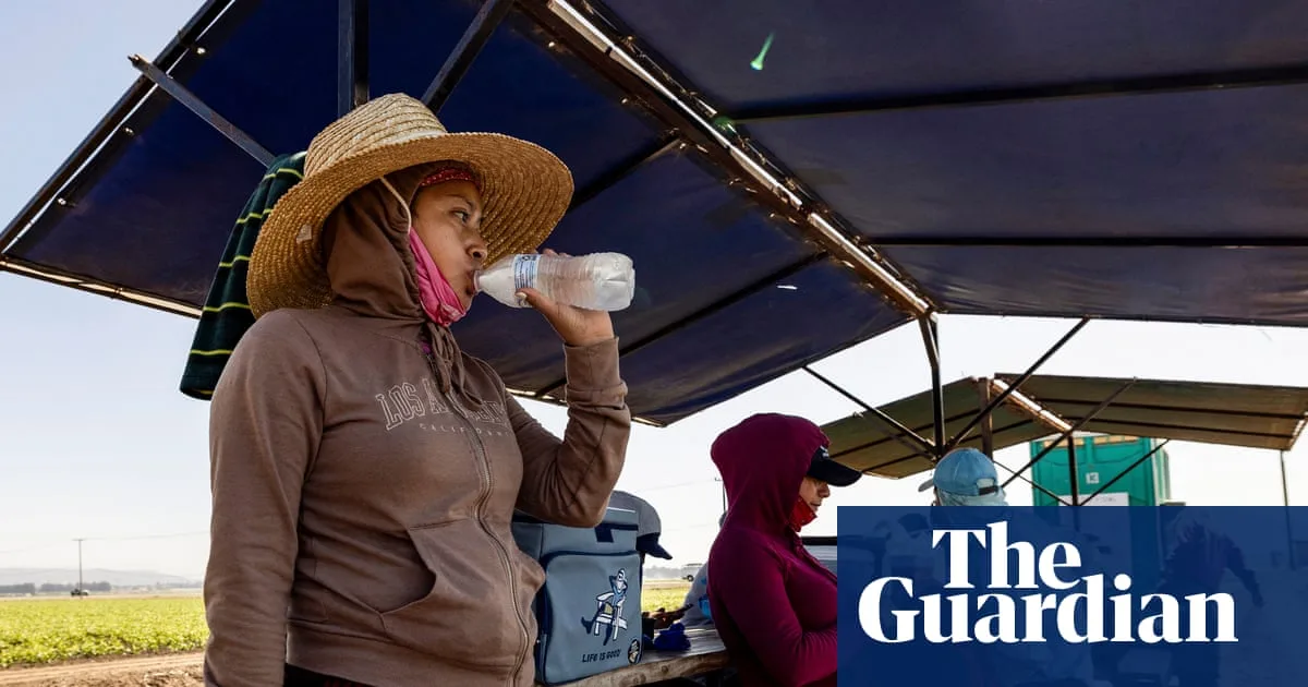Heatwave Study Reveals Social Inequalities in Cool Seeking Behaviour