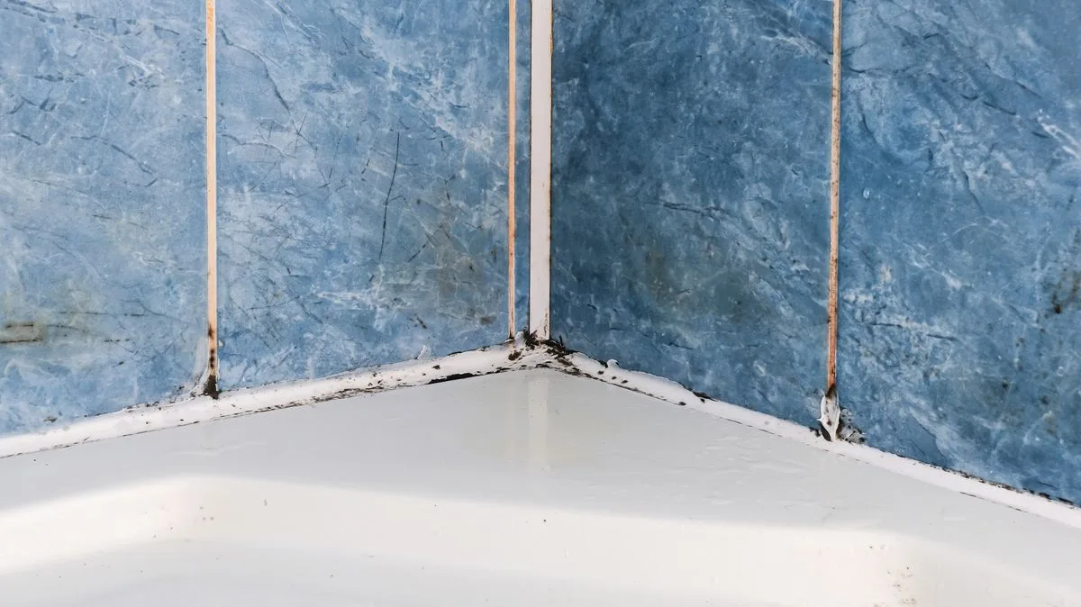 Common Towel Mistake Leads to Costly Mould in Bathrooms