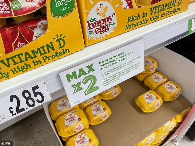 Farmers Warned Supermarkets in May of Egg Shortage, Says Industry Body