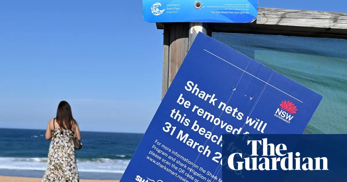 Sydney Shark Attack Reignites Debate Over Effectiveness of Shark Nets
