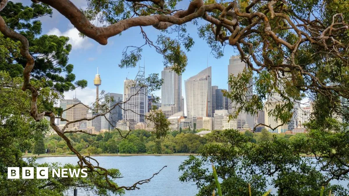 Sydneys Cronulla Beach Trees Deliberately Poisoned In Vandalism Attack