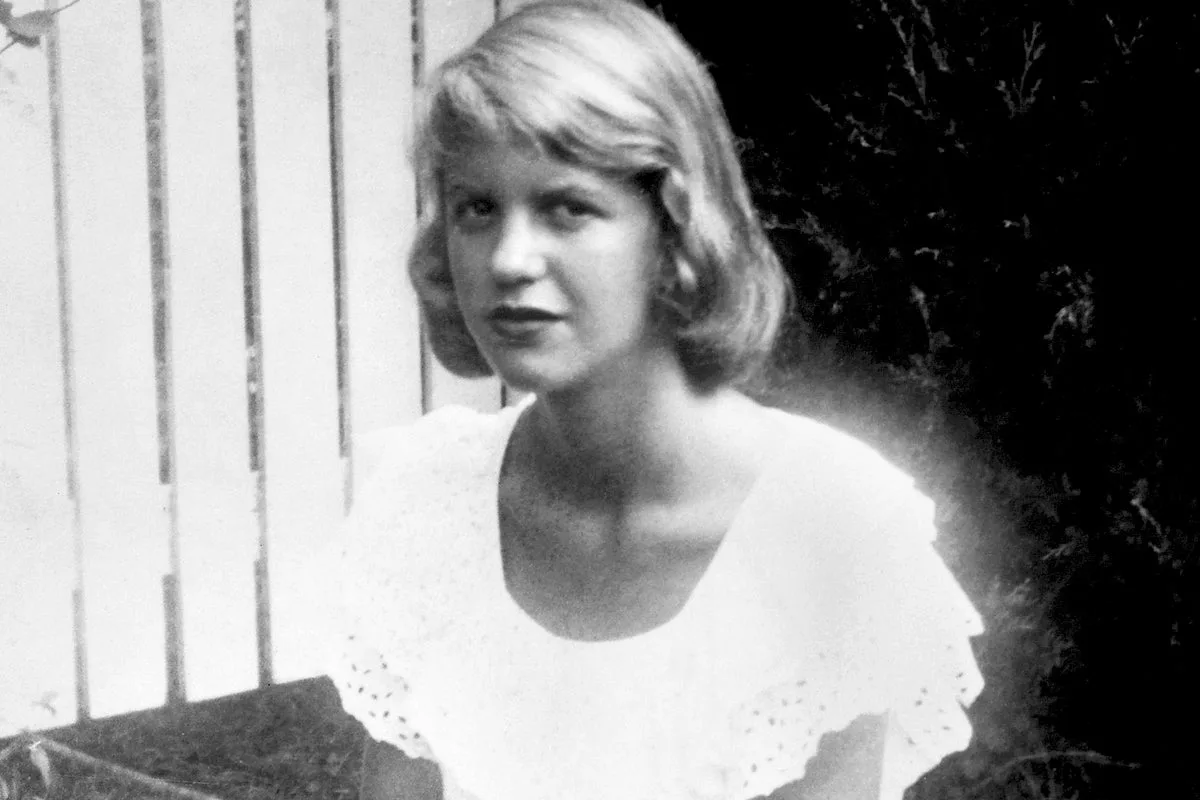 Sylvia Plath Complete Poems Published With Pink Paper Works