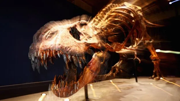 The 120-Year Mystery of T. Rex's Tiny Arms: Why Did They Evolve?