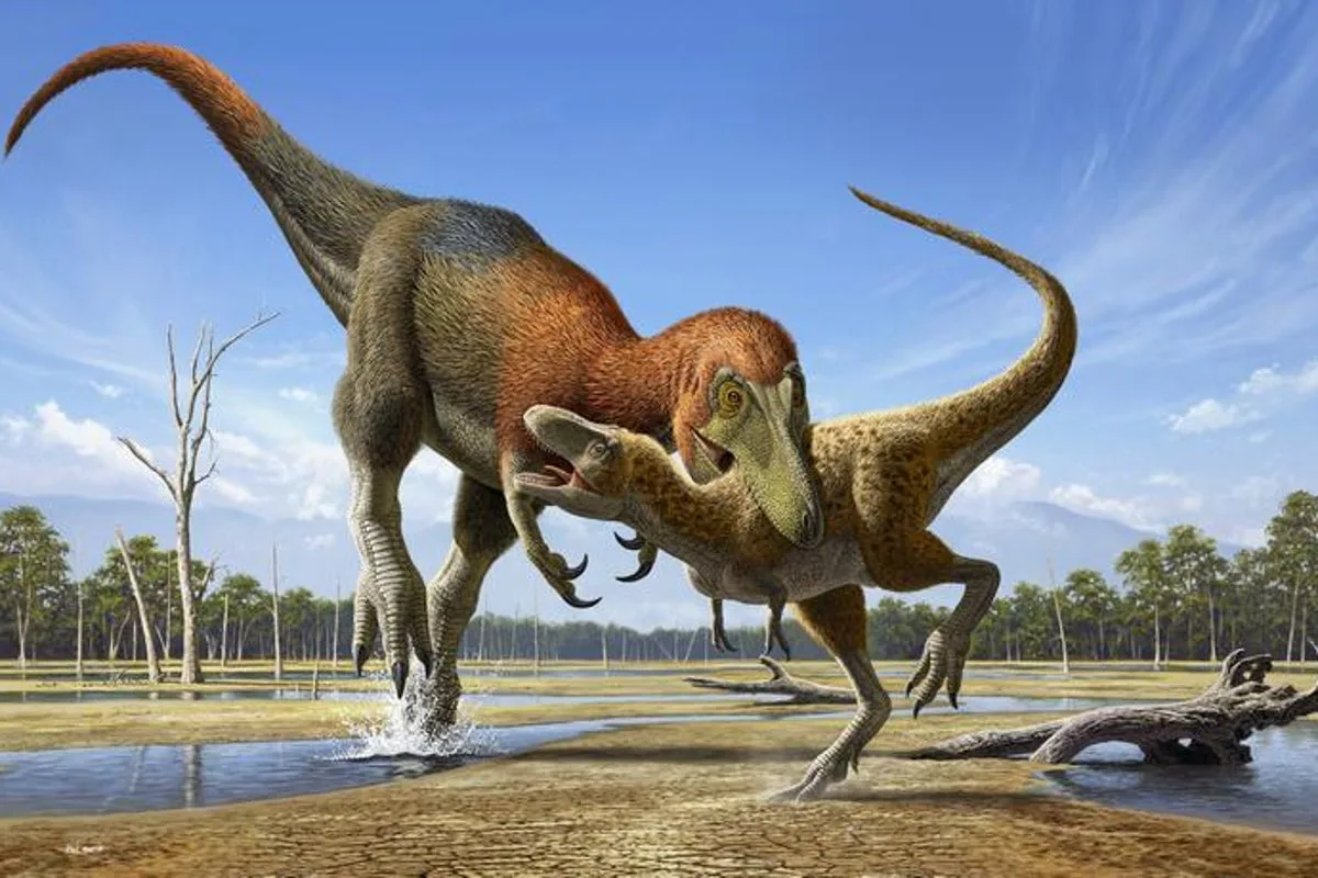 T rex's tiny arms explained: 'The head took over'