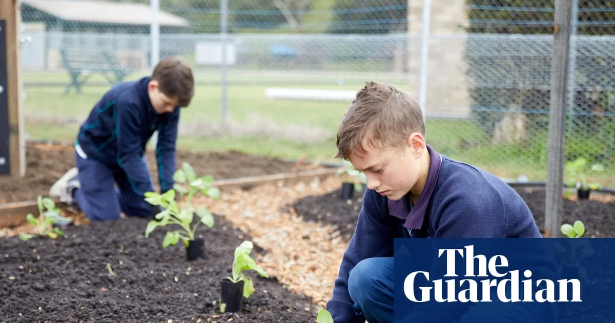 Tasmanian School Gardens Cultivate Student Success