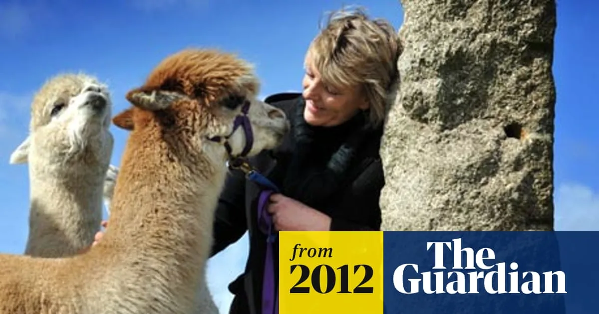 Alpaca Owner Warns of Bovine TB Risk After Contracting Disease