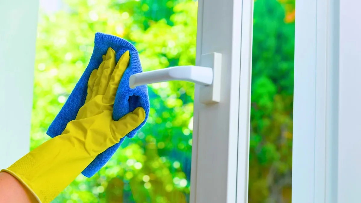 Tea Bags for Streak-Free Windows: Natural Cleaner