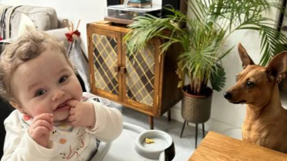 Teacher Killed 13-Month-Old Baby After Subjecting Him to Horrific Abuse