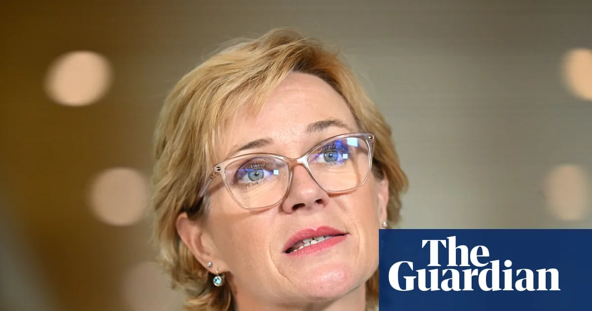Teal MPs Divided as Zali Steggall Set to Launch New Party