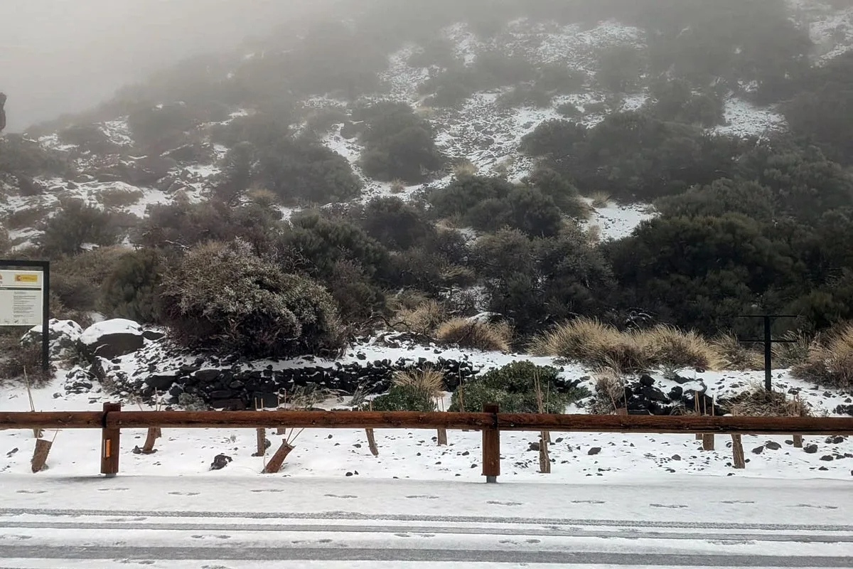 Tenerife Declares State of Emergency as Storm Therese Brings 75mph Winds
