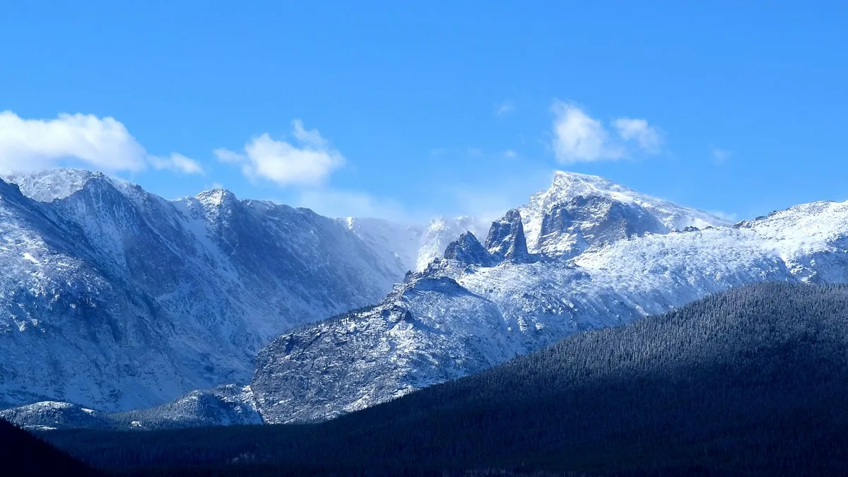 Hunter Survives Grizzly Attack in Canadian Rockies