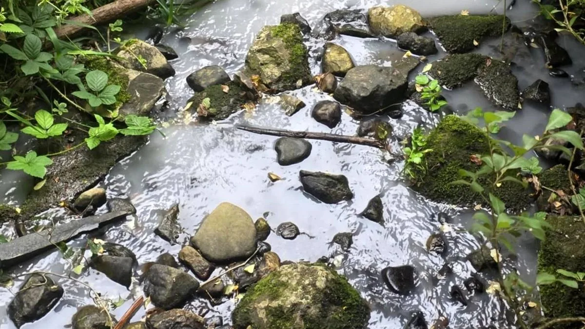 Investigation Launched After Welsh Stream Turns Milky White