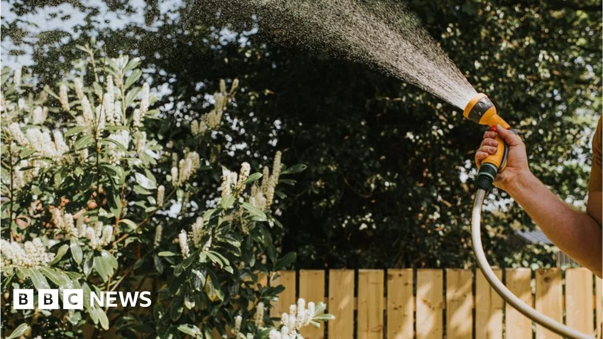 Thames Water Urges Water Conservation Amid Heatwave, Avoids Hosepipe Ban