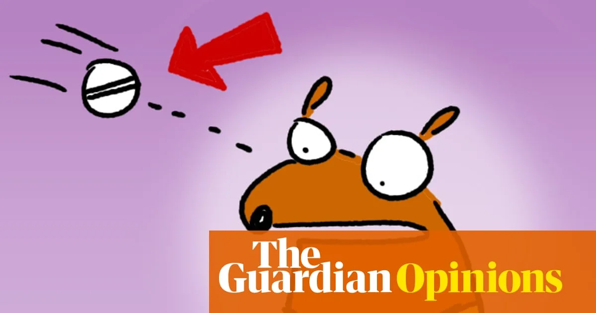 The Physics of a Cricket Ball Hitting Your Face