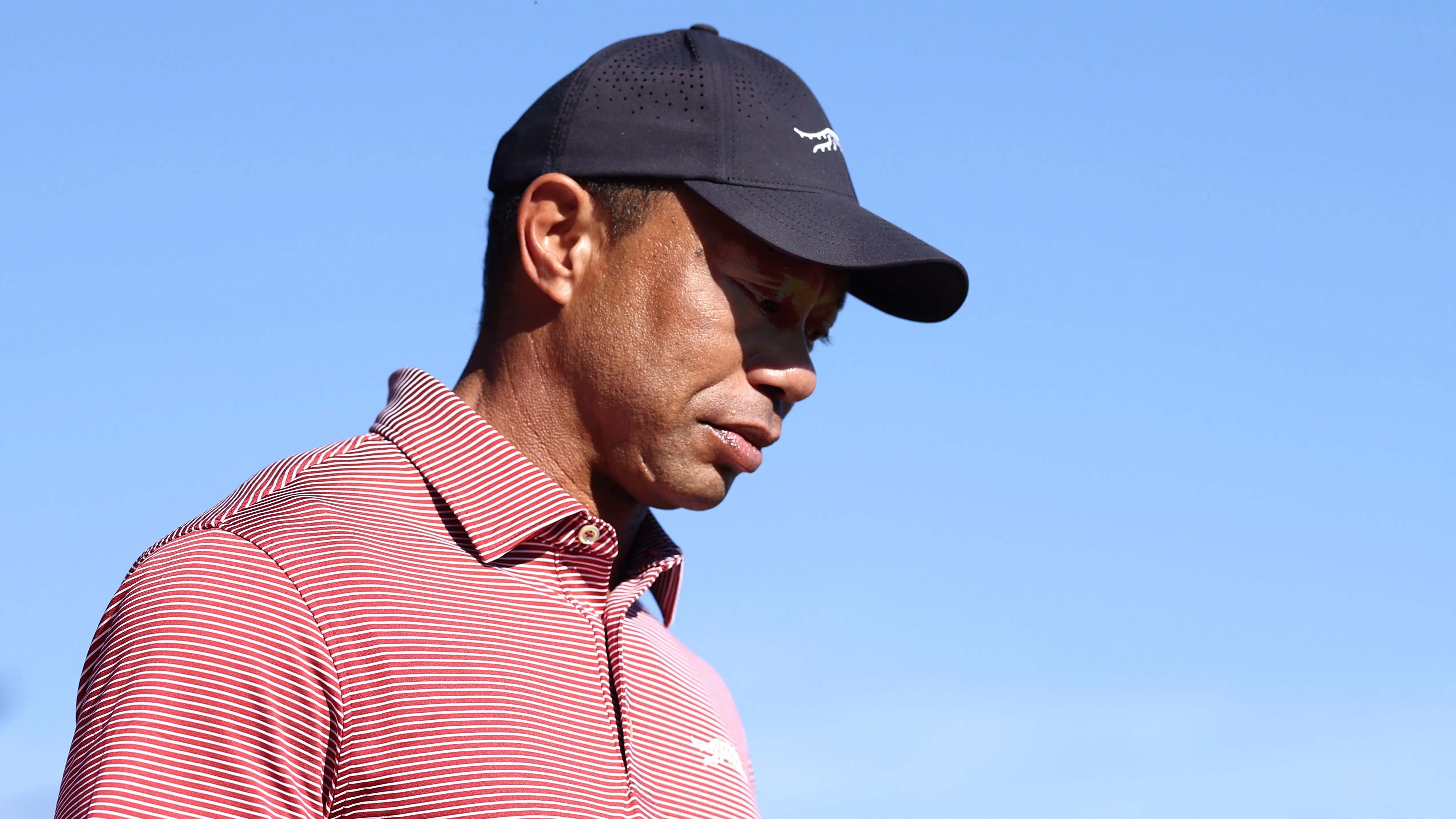 Tiger Woods Steps Away for Treatment After DUI Charges