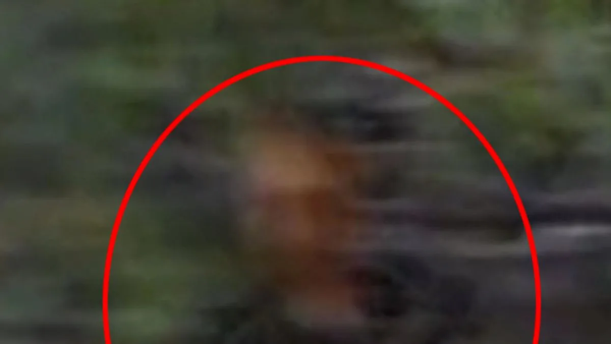 TikToker Claims to Spot Ghost in Childhood Cemetery Photo on Google Street View
