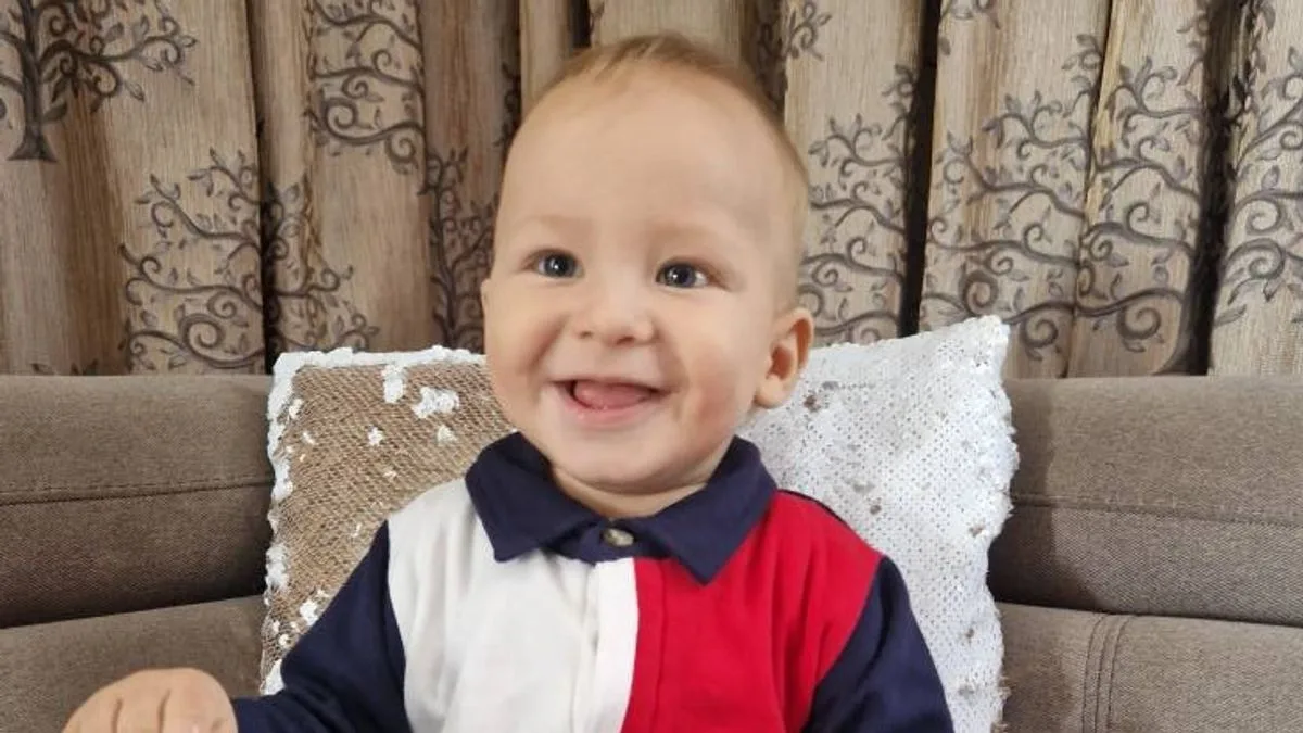 Toddler Dies on Inflatable Slide After Calling for Mother