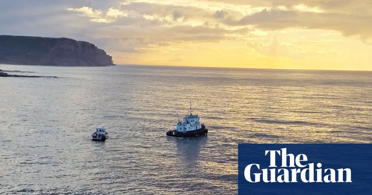 Towing of Sperm Whale Carcass Sparks Safety Concerns
