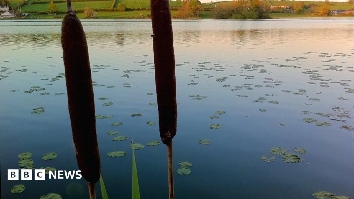 Toxic Algae Closes Two Northern Ireland Lakes to Anglers