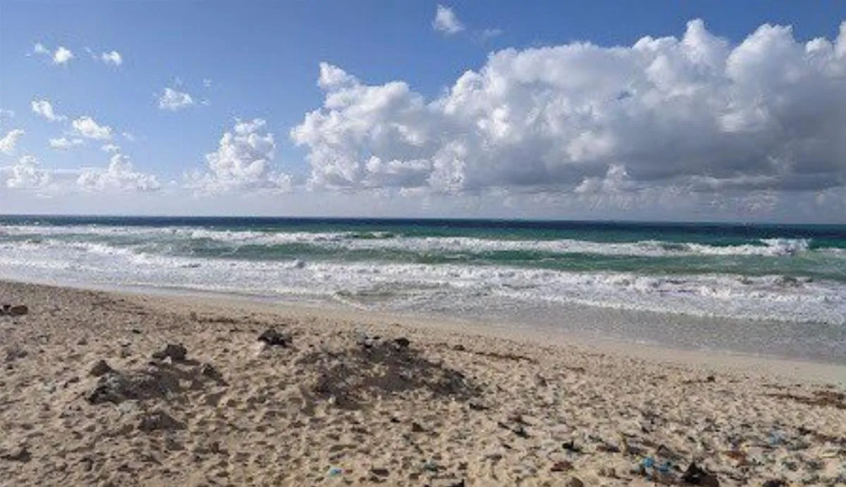 Five UK Students Drowned in Egypt School Trip Named