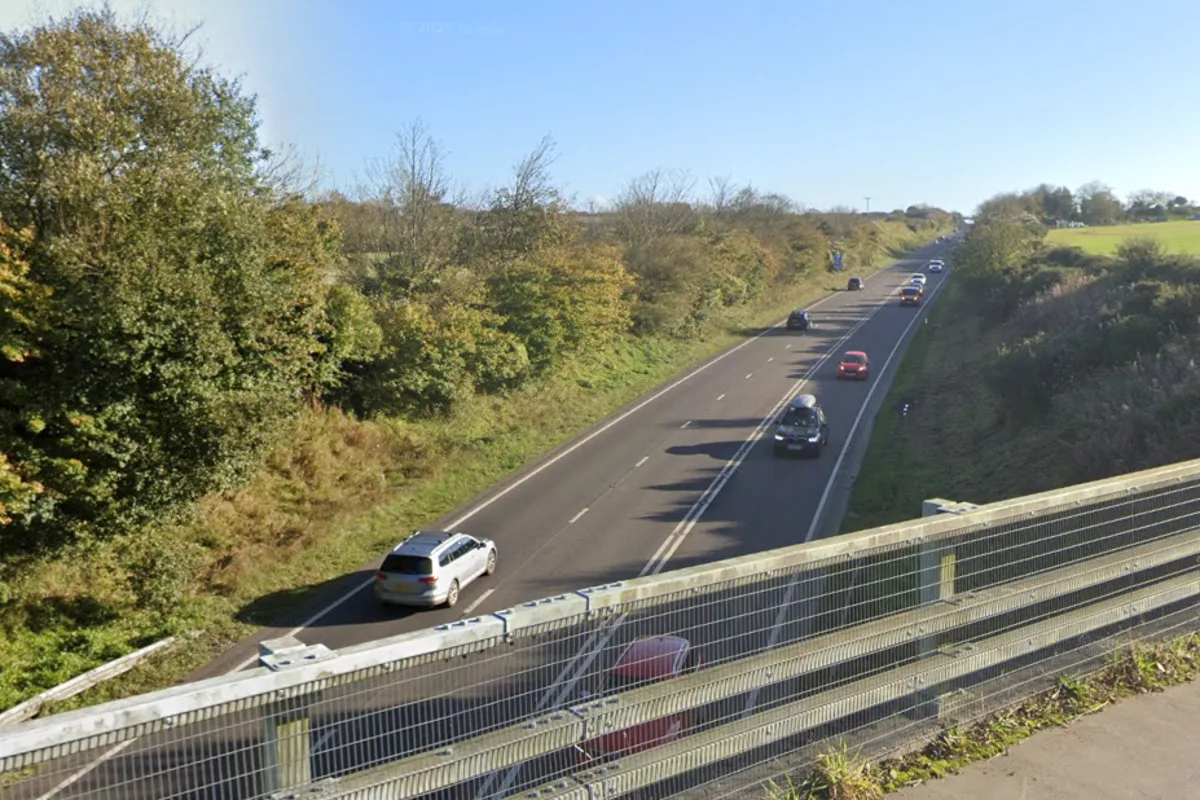 Boy, 8, Dies in A30 Crash; Another Child Critical