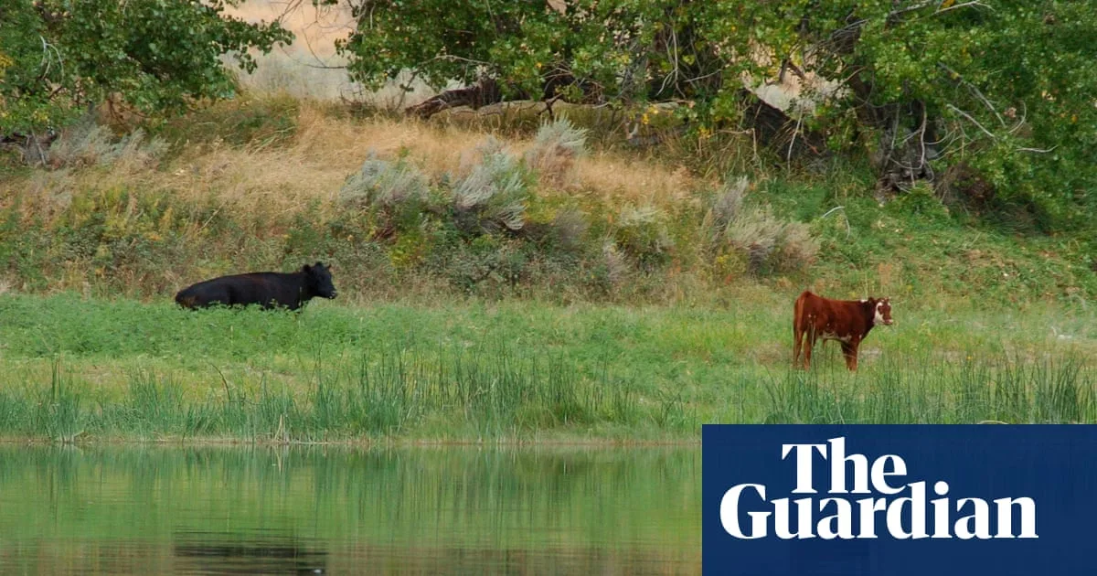 Trump Officials Cancel Conservation Rule On Public Lands