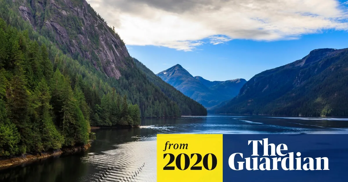 Trump Administration's Tongass Forest Logging Plan Draws Fury