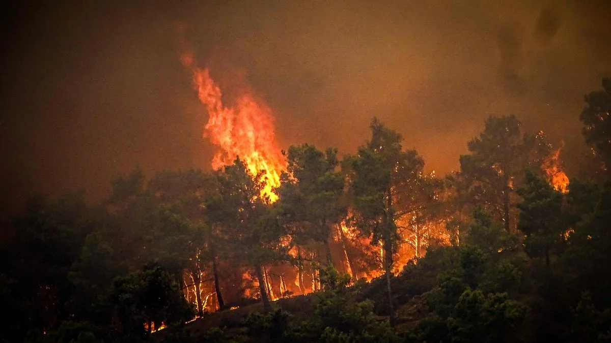 Jet2 and TUI Cancel All Flights to Rhodes as Wildfires Rage
