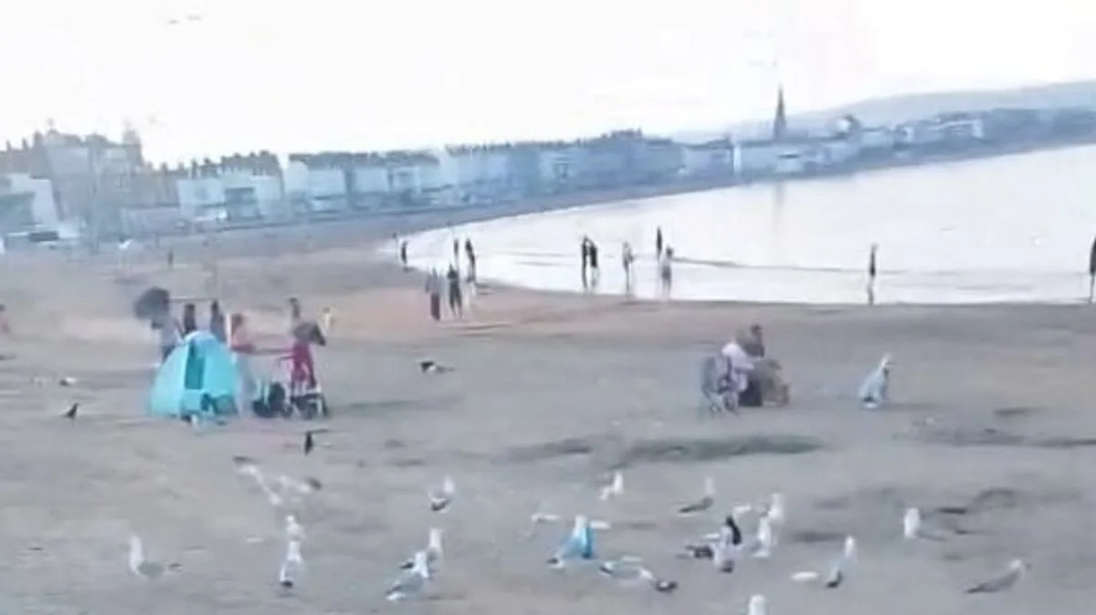 Bank Holiday Heatwave Leaves Weymouth Beach Covered in Litter
