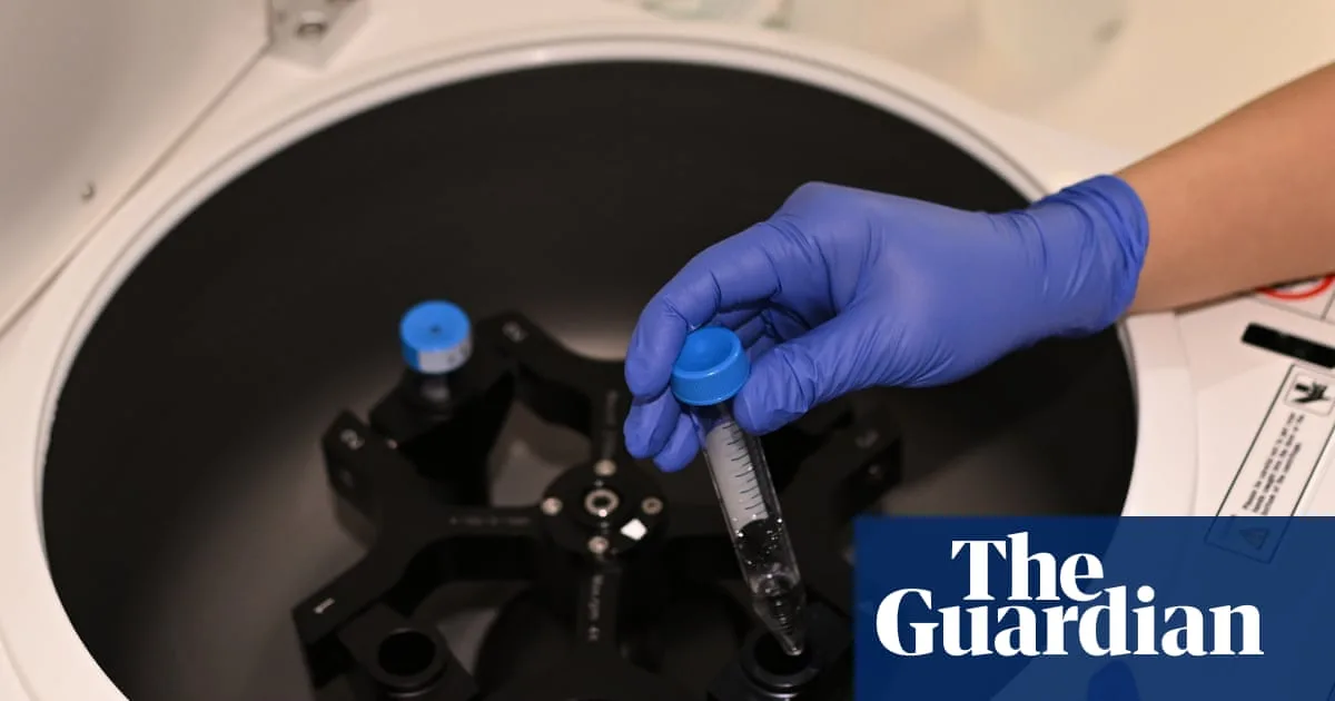 UK IVF Couples Exploit Loophole for Embryo IQ Screening